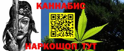 сатива Кандалакша