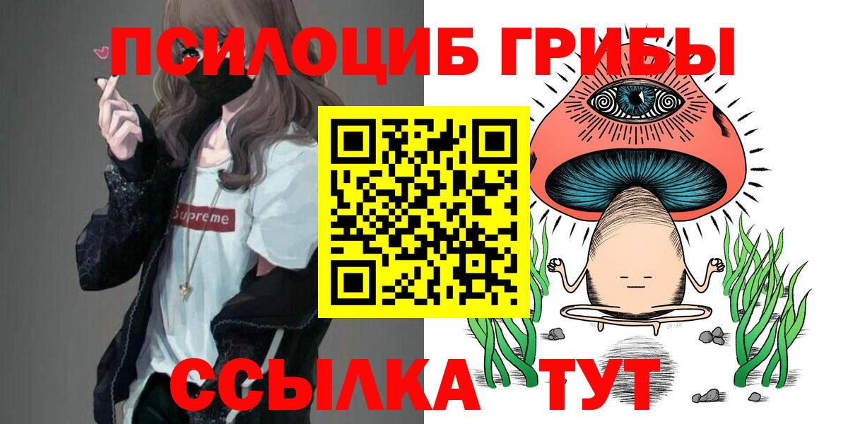 Галлюциногенные грибы Psilocybine cubensis Усть-Илимск