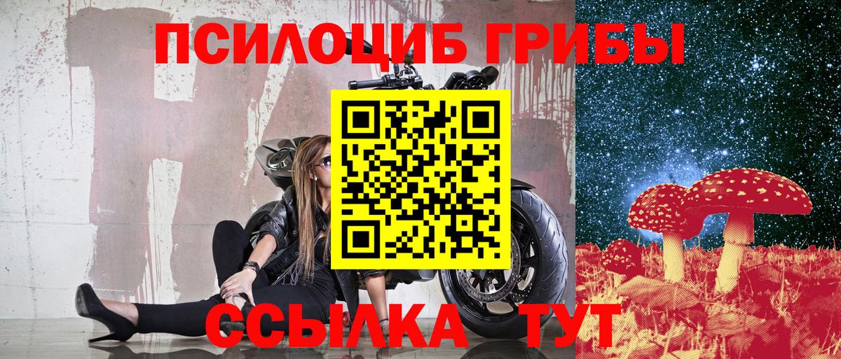 Псилоцибиновые грибы Psilocybine cubensis  Вход с VPN  Усть-Илимск  Псилоцибиновые грибы Psilocybe 